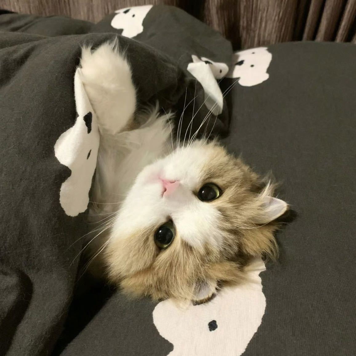 Nightttty